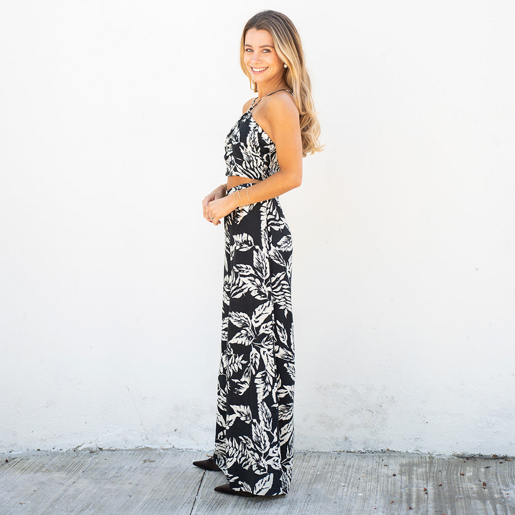 Conjunto Acuario