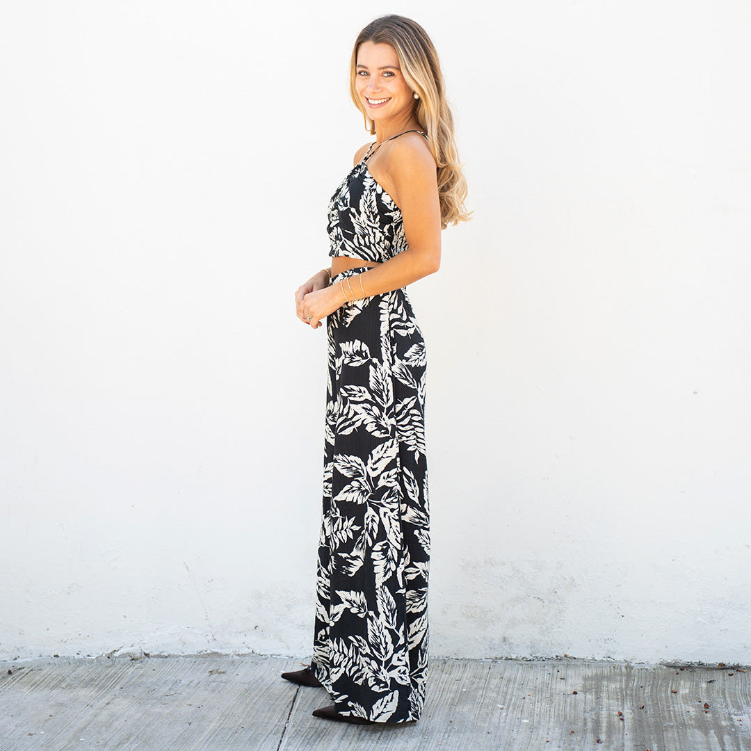 Conjunto Acuario