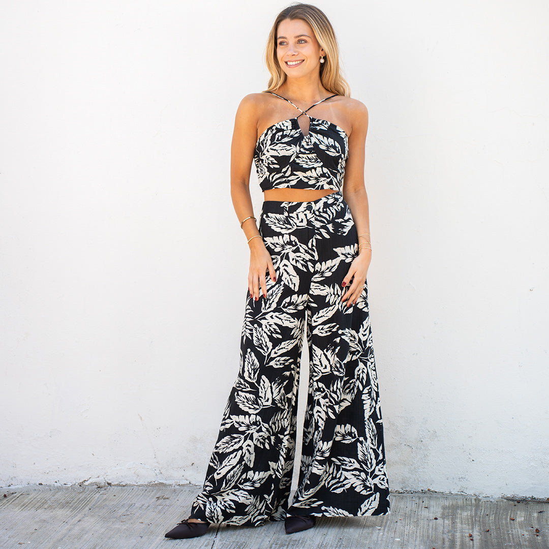Conjunto Acuario