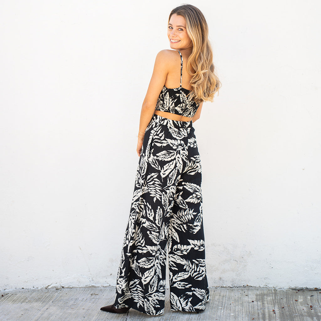 Conjunto Acuario